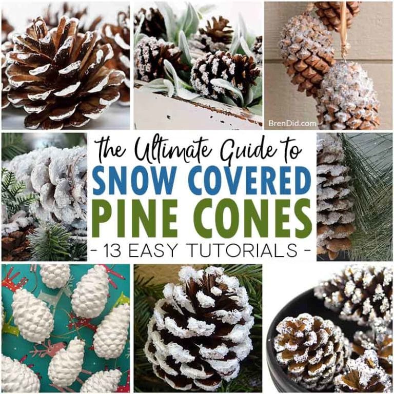 Snowy Pine Cones (4 Ways) - Organize and Decorate Everything