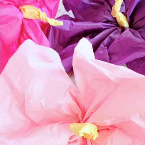 flowers made from tissue paper