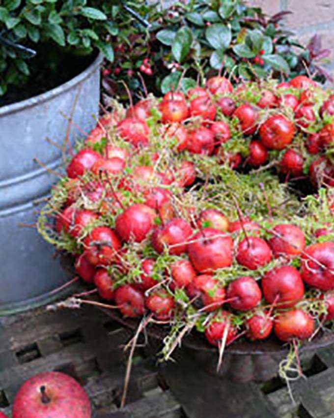 fall wreath made from crab apples