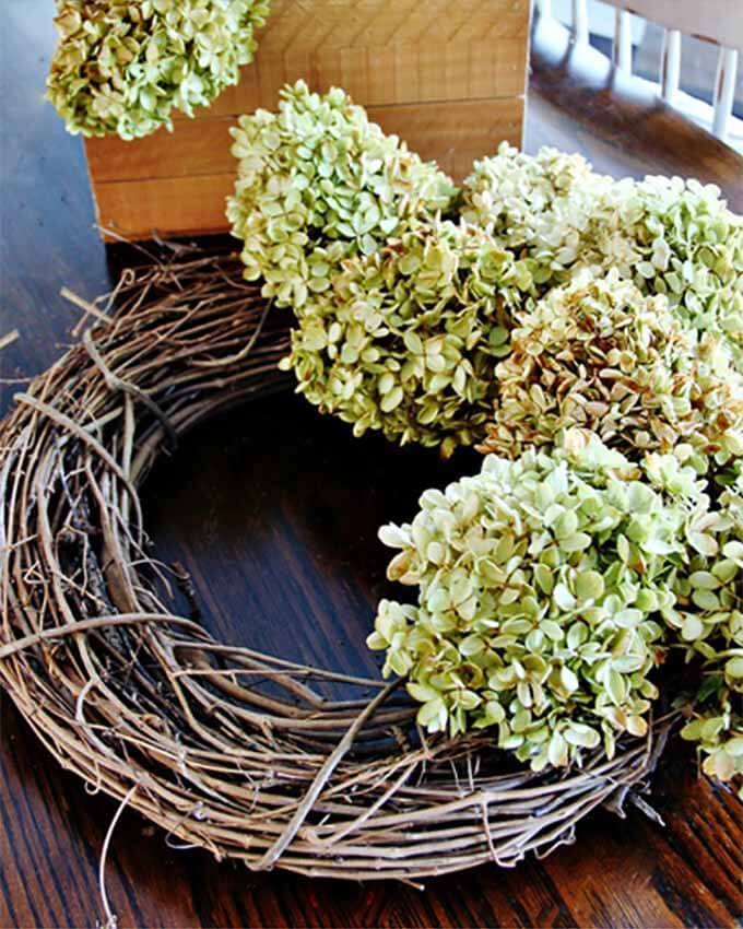 Fall wreath made from dried hydrangea