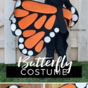 no sew butterfly costume collage rectangle